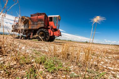 Tahıl işleme için kaza ve yanık traktör