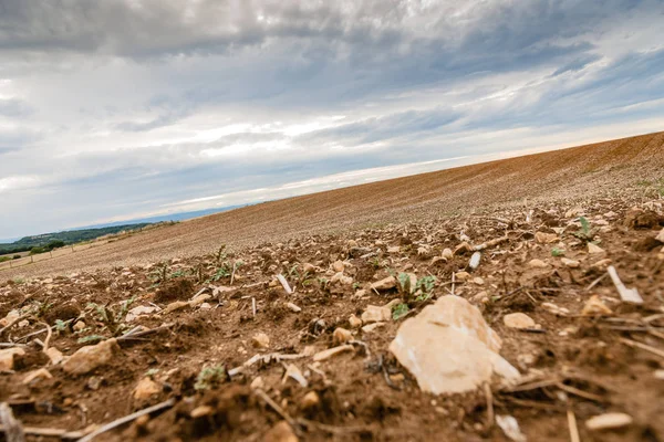Kümeleri ve mounta taşları ile yeni ekili tarım arazileri
