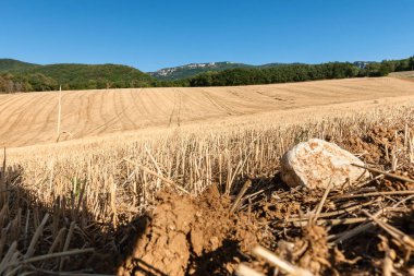 Fran dağların tepelerinde karşı ekili cornfields