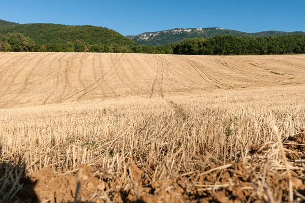 Fran dağların tepelerinde karşı ekili cornfields
