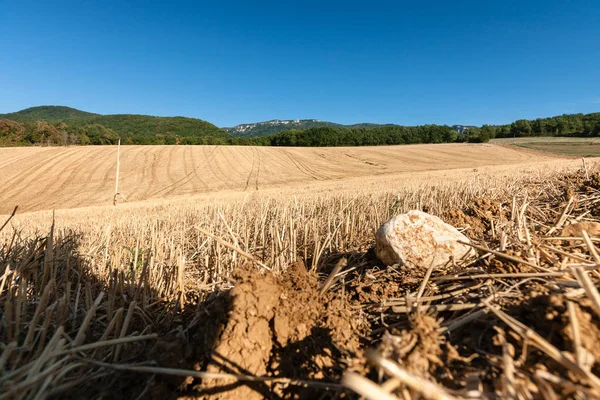 Fran dağların tepelerinde karşı ekili cornfields