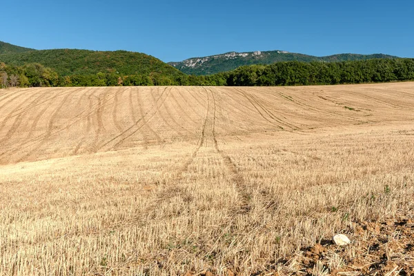 Fran dağların tepelerinde karşı ekili cornfields