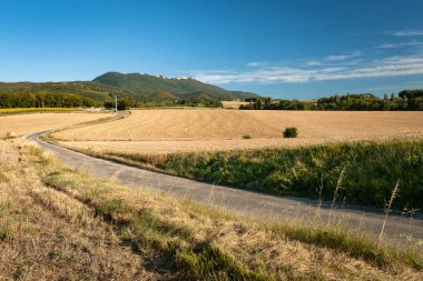 Tahıl alanları ile yaz aylarında tipik Fransız manzara