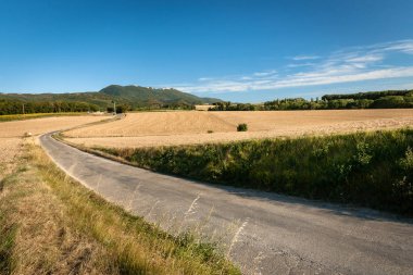 Tahıl alanları ile yaz aylarında tipik Fransız manzara