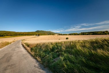 Tahıl alanları ile yaz aylarında tipik Fransız manzara