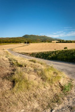 Tahıl alanları ile yaz aylarında tipik Fransız manzara