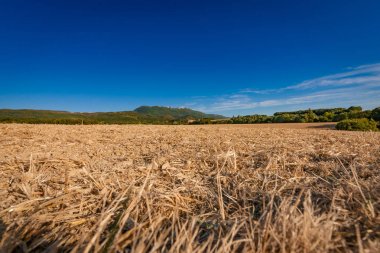 Eğimli dönüm rüyalar ne bölümünde Dağ Manzaralı