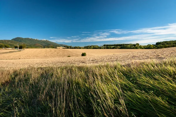 Stock image Typical French landscape in summer with grain fields