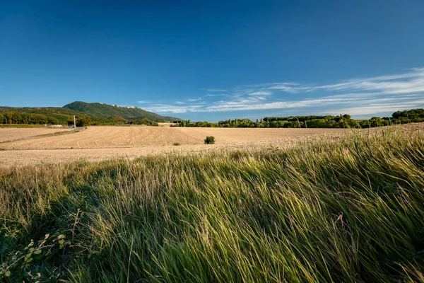 Paisaje típico francés en verano con campos de grano —  Fotos de Stock
