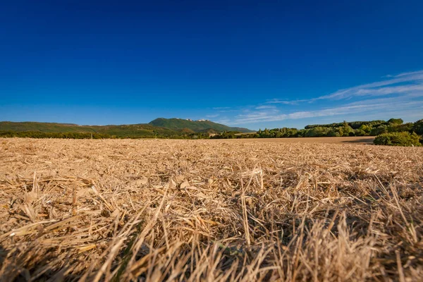 Eğimli dönüm rüyalar ne bölümünde Dağ Manzaralı