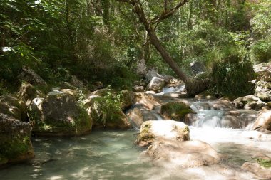 Hızlı akan nehir dağ Avrupa Alpleri'nde
