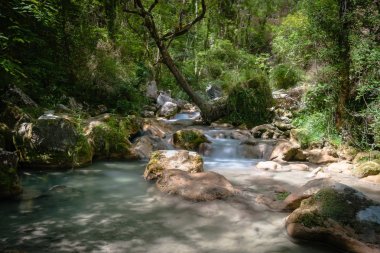 Hızlı akan nehir dağ Avrupa Alpleri'nde