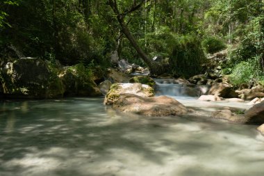 Hızlı akan nehir dağ Avrupa Alpleri'nde