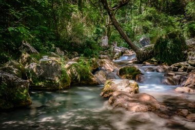 Hızlı akan nehir dağ Avrupa Alpleri'nde