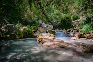 Hızlı akan nehir dağ Avrupa Alpleri'nde