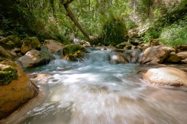 Hızlı akan nehir dağ Avrupa Alpleri'nde