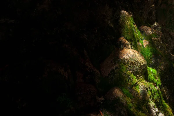 Jogue com sombras e luz solar em uma cachoeira — Fotografia de Stock