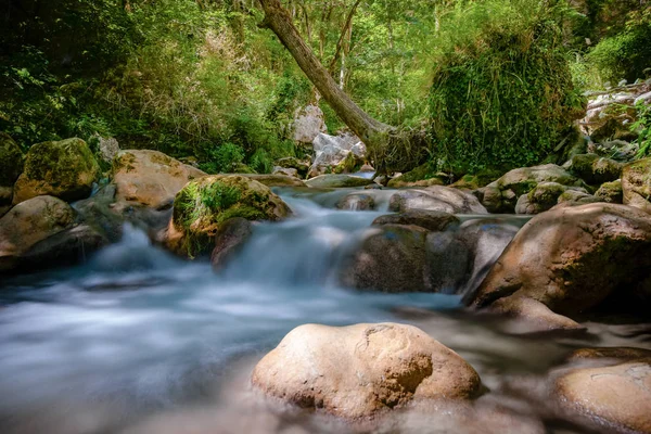 Rio de montanha de fluxo rápido nos Alpes Europeus — Fotografia de Stock