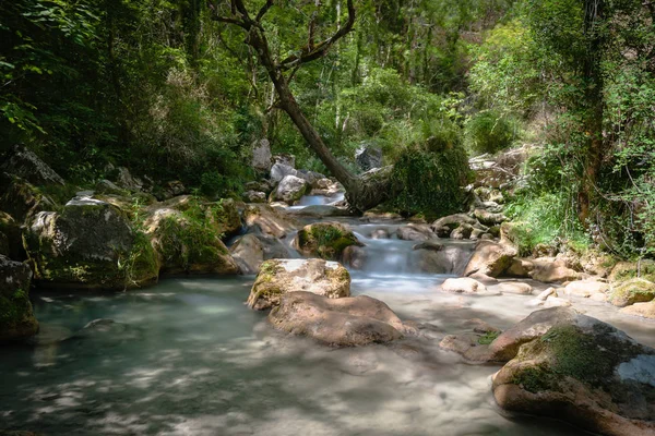 Hızlı akan nehir dağ Avrupa Alpleri'nde