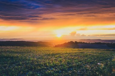 Yapraklara fırtınalı hava bulutlara aracılığıyla