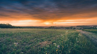 Yapraklara fırtınalı hava bulutlara aracılığıyla