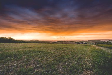 Yapraklara fırtınalı hava bulutlara aracılığıyla