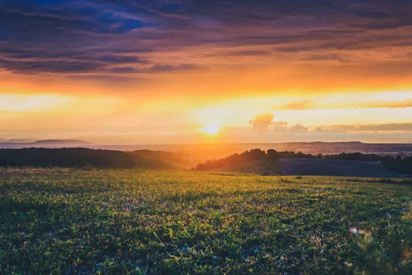 Yapraklara fırtınalı hava bulutlara aracılığıyla