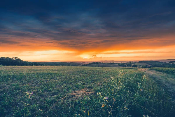 Yapraklara fırtınalı hava bulutlara aracılığıyla