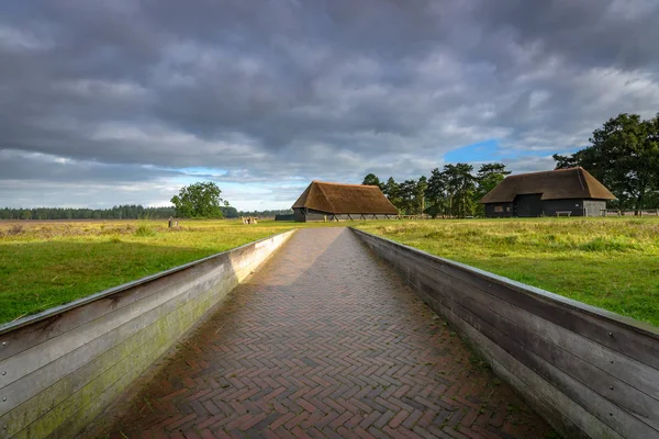 Authentieke rustieke houten constructie van schapen shelter — Stockfoto