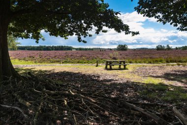Picnic bank with views over the heathlands clipart
