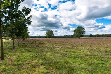 Rainplash kum yolda yansıması ile