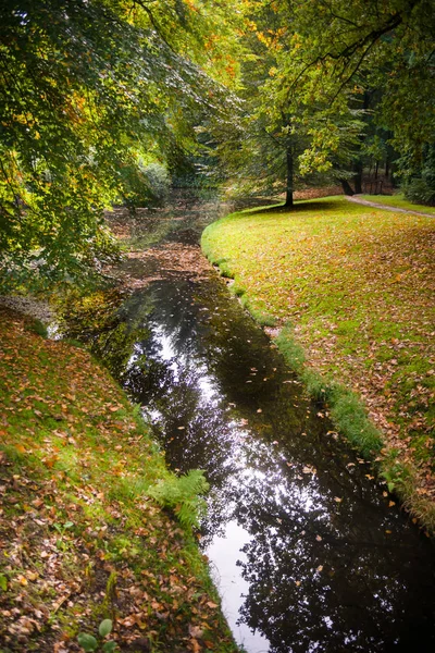 Verano indio en el lago bosque —  Fotos de Stock