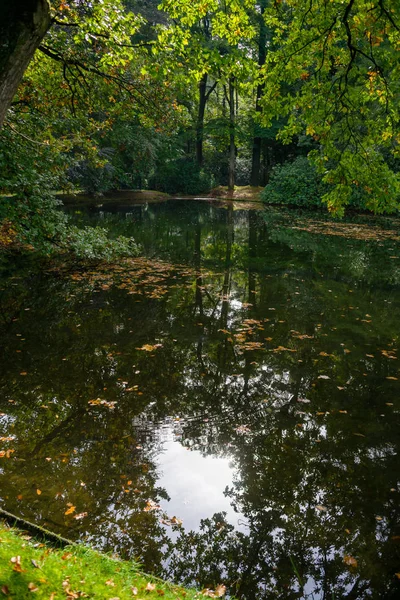 Verano indio en el lago bosque —  Fotos de Stock