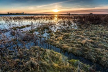 Overijssel Neth Ijssel Nehri'nin floodplains üzerinde göster