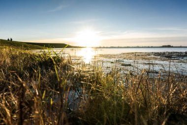 Düşük noktası veya yüksek su ile bir nehir manzarası