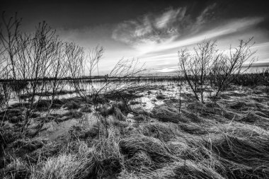Overijssel Neth Ijssel Nehri'nin floodplains üzerinde göster