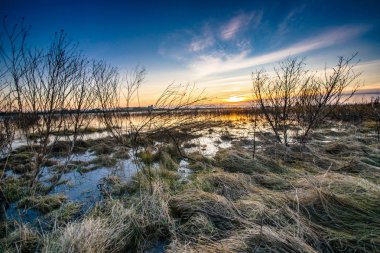 Overijssel Neth Ijssel Nehri'nin floodplains üzerinde göster