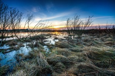 Overijssel Neth Ijssel Nehri'nin floodplains üzerinde göster