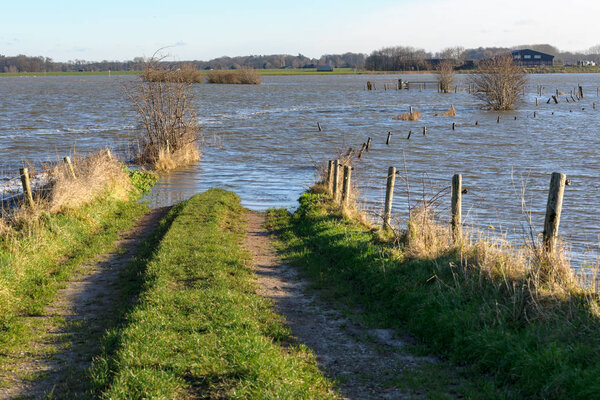 Flooded river bank in The Netherlands