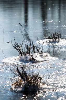 Donmuş soğuk otlaklar frost su ile kaplı ayrıntılarını