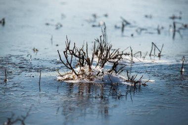 Donmuş soğuk otlaklar frost su ile kaplı ayrıntılarını