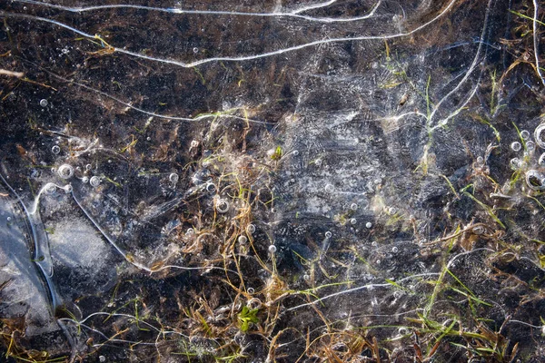 Mrożone szczegóły mroźny łąki pokryte szronem w su — Zdjęcie stockowe