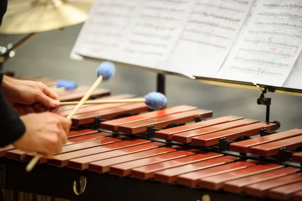Xylophone, marimba or mallet player with sticks, — Stock Photo, Image