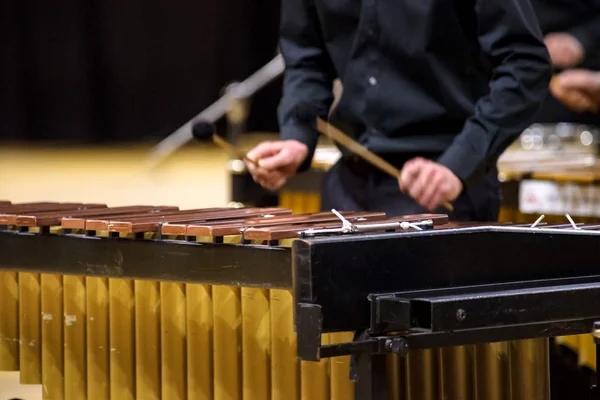 Xylofoon, marimba of mallet-speler met stokken, — Stockfoto