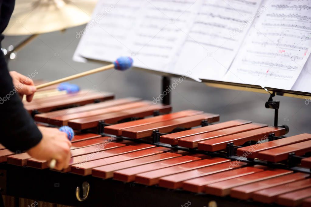 Xylophone, marimba or mallet player with sticks, 