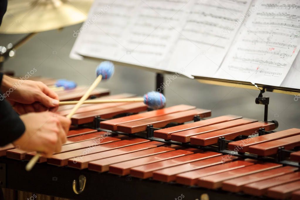 Xylophone, marimba or mallet player with sticks, 