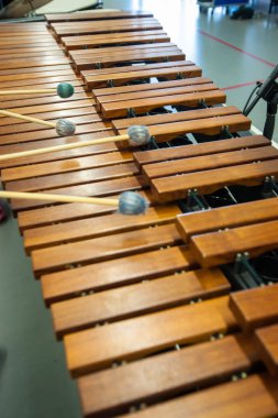 Ksilofon, marimba veya çekiç oyuncu sopa ile, 