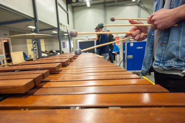 Xylofoon, marimba of mallet-speler met stokken, — Stockfoto