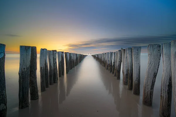 Pole Heads Wave Breakers Close Disappearing North Sea Holland Sunset — Stock Photo, Image