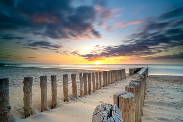 Stolphuvuden Eller Vågbrytare Närbild Försvinner Nordsjön Holland Med Solnedgång Bakgrund — Stockfoto